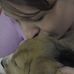 Tammy Chivers - Facebook