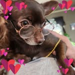 Tammy Lynn Chrisman-Snyder - @tamm2496 - Instagram