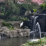 Tammy Chuang - Facebook