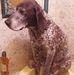 Tammy Claxton - Facebook