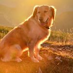 Tammy Clegg - @trlsam8 - Instagram