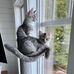 Tammy Clegg Miller - Facebook