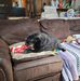 Tammie Coates - Facebook