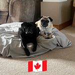 Tammy Coates - @tammy.coates.121 - Instagram
