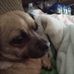 Tommy Coatney - Facebook