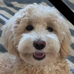 Tammy Coe - @tammy.coe1 - Instagram