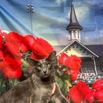 Tammy Colley - @tammy.colley.70 - Instagram