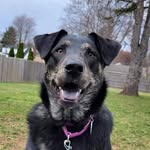Tammy Corbin - @auntybubba67 - Instagram