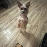 Tammy Corbin Dodson - @tammydodson714 - Instagram