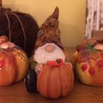 Tammy Corcoran - @tcorcoran8 - Instagram