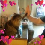 Tammy Corcoran - @tammy31273 - Instagram