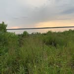Tammy Corey - @tammy.corey.12 - Instagram
