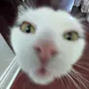 tammy - @tammycore - TikTok