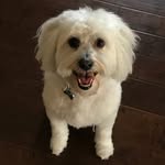 Tammy Cork Morris-Kerns - @tamaramorris_kerns - Instagram