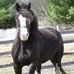 Tammy Cornell - Facebook