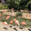 tammyrenecornell - @tammyrenecornell - TikTok