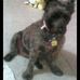 Tammy Coster - Facebook