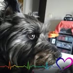 Tammy Coster - @tammycoster - Instagram