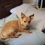 Tammy Cota - @rogergabbeitt - Instagram