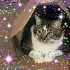 Tammy6574 - @tammycottrill8 - TikTok