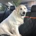 Tammy Cowsert - Facebook