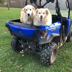 Tammy Cowsert - @carrie1mar1 - Instagram
