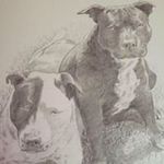 Tammy Neal Coy - @nealcoy - Instagram