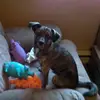 tammycoykendall67 - @tammycoykendall67 - TikTok