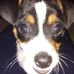 Tammy Crabtree - Facebook