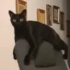 Ogletb - @tammycrafts - TikTok