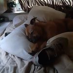 Tammy Craft - @tammycraft2448 - Instagram