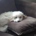 Tammy Craft - Facebook