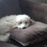 Tammy Craft - @tammy.craft.71 - Instagram