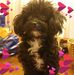 Tammy Craft - Facebook