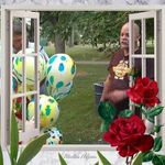 Tammy Craft - @tammy.craft.9250 - Instagram