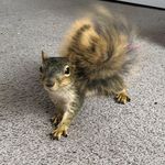 Tammy Price - @tammy.craft.393 - Instagram