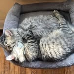 Tammy Cramer - @tammy.cramer.16 - Instagram