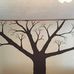 Tammy Cranfill - Facebook