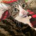 Tammy Creed - Facebook