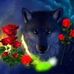 Tammy Crews - Facebook