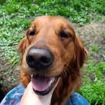 Tammy Cribb - @bobcribb468 - Instagram