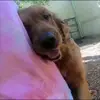 Tammy Cribb - @tammy.cribb59 - TikTok