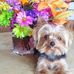 Tammy Crook - Facebook