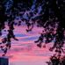 Tammy Crosby - Facebook