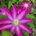 Tammy Crosby - Facebook