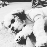 Tammy Crosby - @tammyc2798 - Instagram