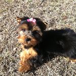 Tammy Crosby - @tammy.crosby.90 - Instagram