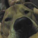 Tammy Crosby - @bubbaj223 - Instagram