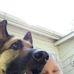 Tammy Crosby - Facebook