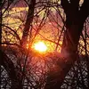 Tammy Crosby - @tammy.crosby6 - TikTok